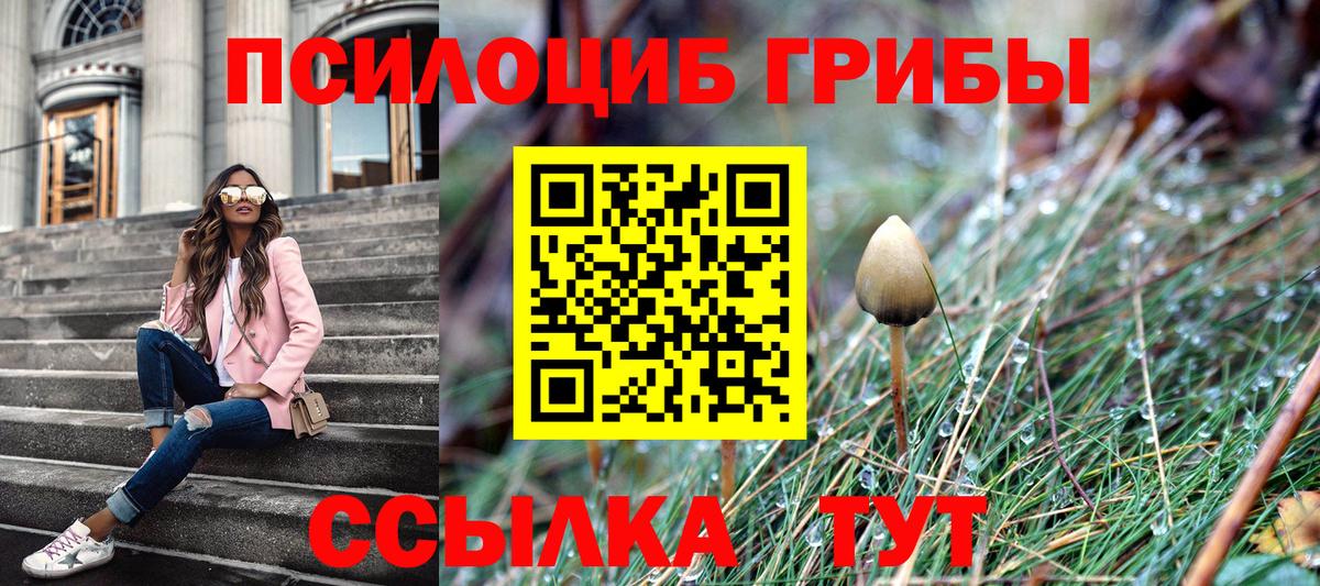 Бугульма  Галлюциногенные грибы Magic Shrooms  Вход с VPN  Галлюциногенные грибы MAGIC MUSHROOMS 