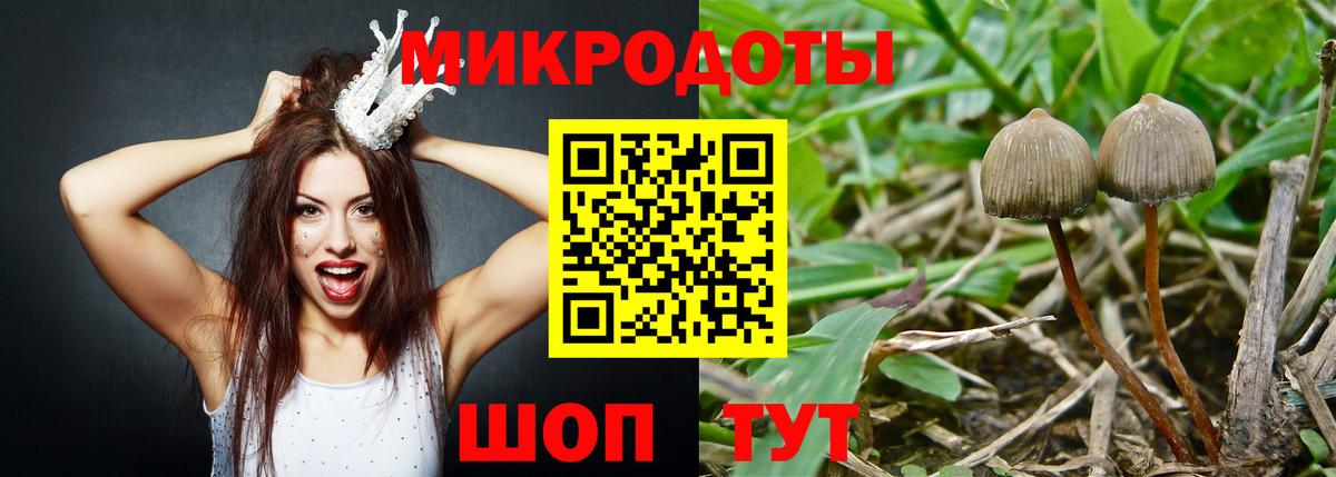 Псилоцибиновые грибы Cubensis Бугульма
